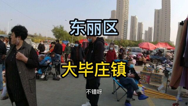 天津市东丽区第《1》个视频,大毕庄镇实地考察