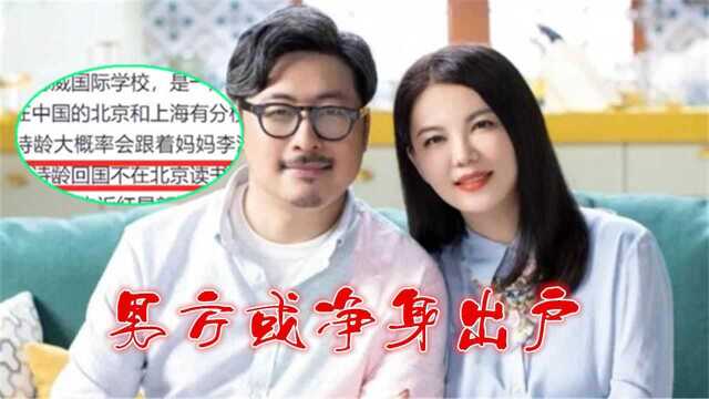 12年婚姻彻底破裂!曝李湘与王岳伦离婚真实内幕,男方或净身出户