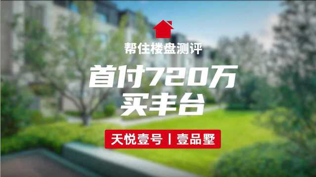 帮住楼盘测评天悦壹号壹品墅