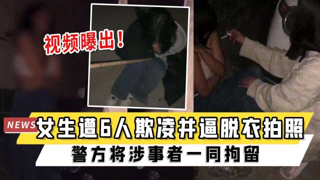 河南一女生遭6人欺凌并逼脱衣拍照,视频曝出!警方将涉事者一同拘留