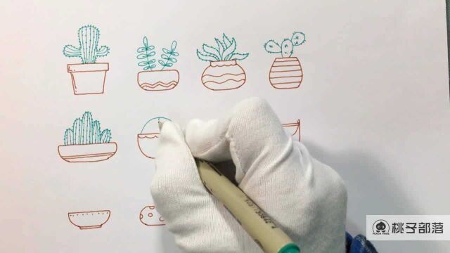 三分钟教你画12个小植物 太好学了一起来画吧