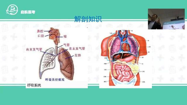 COPD001讲