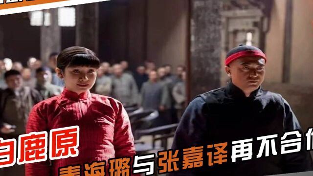 李梦撕开白鹿原的遮羞布!秦海璐直言再不合作,2.3亿投资去了哪