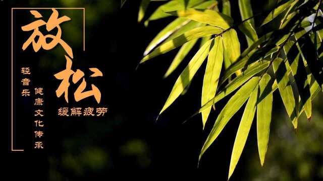 葫芦丝名曲《月光下的凤尾竹》曲调清新淡雅、美妙动听