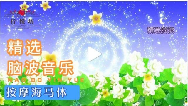 精选脑波音乐按摩海马体,静心助眠