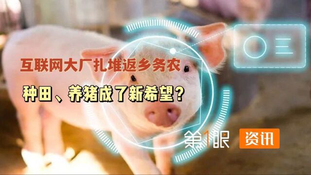 进军高科技养猪行业!互联网大佬纷纷下场,农牧业迎来新的未来?