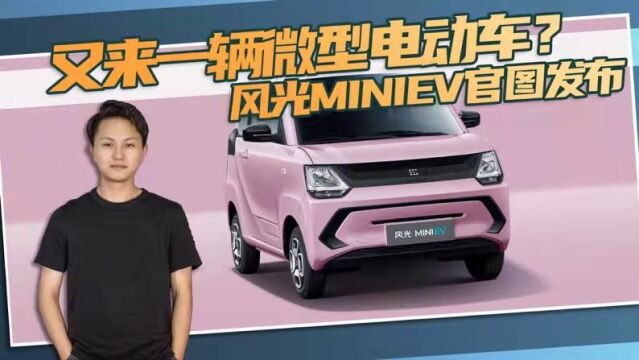 又来一辆微型电动车?风光MINIEV官图发布