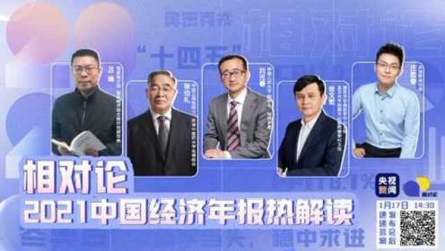 相对论|2021中国经济年报热解读