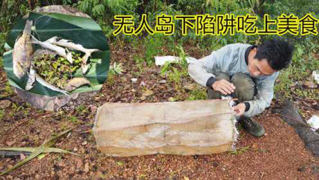 湖中岛(3):制作陷阱捕捉大鱼,能否有收获?