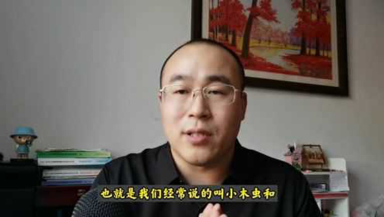 考研学生如何查找调剂信息?陈晟老师推荐这个网站很重要