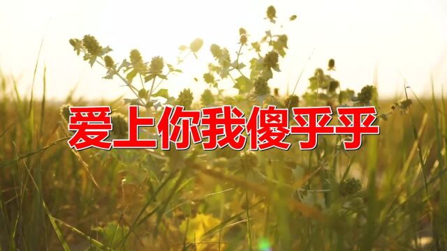 经典老歌《爱上你我傻乎乎》好听至极,一首歌影响3代人!