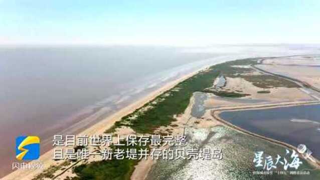 【星辰大海】贝壳堤 山东最北端渤海湾滩涂潮带上的神奇存在