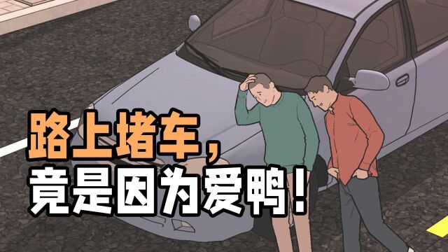 你永远不知道是因为什么堵车,也许是因为爱鸭~