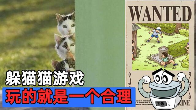 躲猫猫游戏,中国玩家让你知道,什么叫做合理