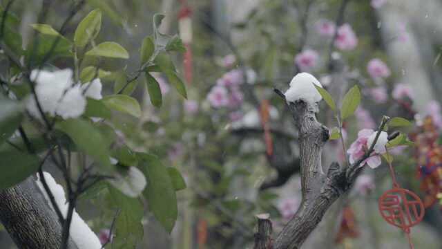 闲云雪景