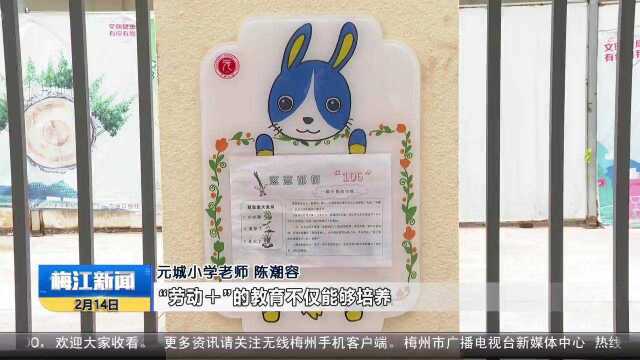 春季开学 虎年开跑 元城小学:新学期 新气象 新期待