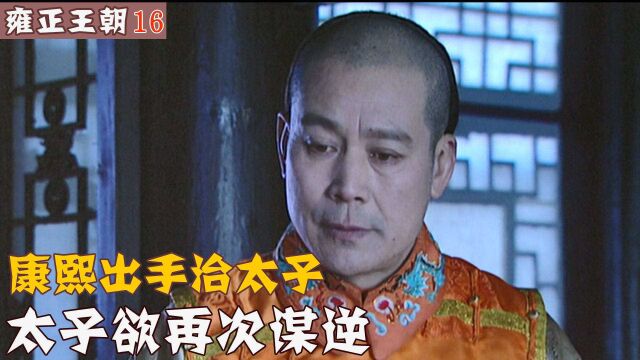 雍正王朝:康熙出手治太子 太子欲再次谋逆