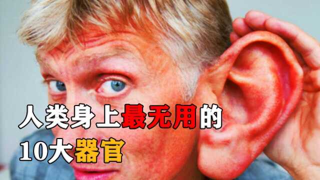 人类身上最无用的10大器官