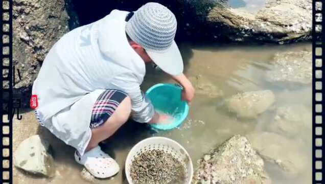 昨天在海里抓回来的野生海鲜,今天在家做海鲜大餐,味道好极了