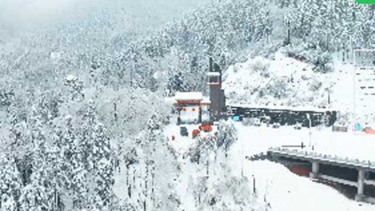 视频丨堪比“北国风光”的怀化雪峰山雪景