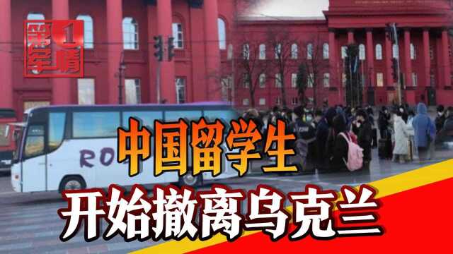 “祖国动用了一切资源”!中国大使馆通力合作,留学生撤离乌克兰