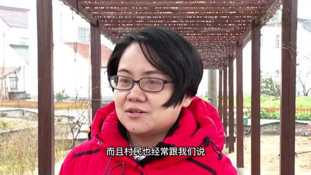 奋进新征程 建功新时代|上海松江田黄村:振兴可期,乡愁可寄