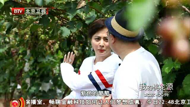 采育镇是大兴区的推荐官第一个打卡地