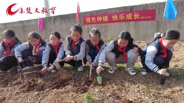 黄石十七中首届校园种植节活动启动