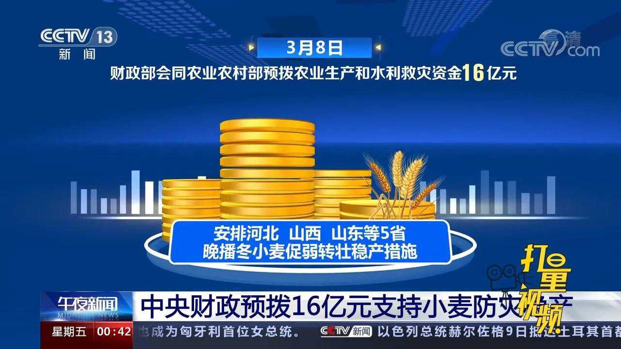 速看!中央财政预拨16亿元支持小麦防灾稳产