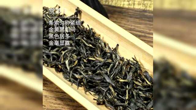 正山堂丨400年传承只为一杯品质好茶