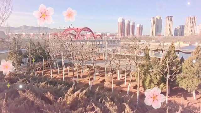 北票的早晨【3月11日】