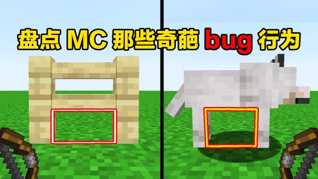 我的世界:盘点MC那些奇葩bug,震惊表弟一整年!