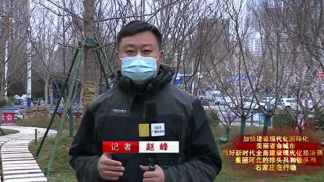 石家庄在行动|桥西区:围挡变绿地 小小街边游园赢得市民点赞