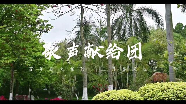 中山大学政务学院20级行管3班团日自制公益视频