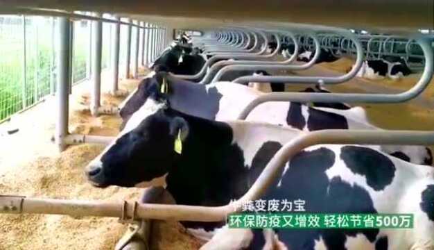 美丽中国ⷥ›𚥺Ÿ智能循环系列8—云南省昆明主城及环湖截污污水处理厂污泥处理及资源化利用工程设备采购项目