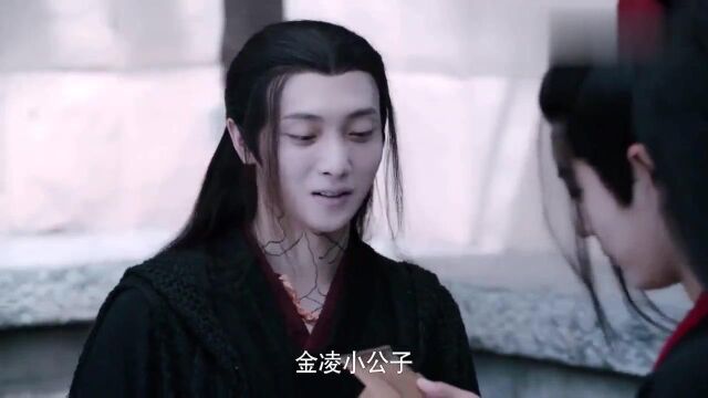 陈情令:魏无羡花大半个月时间为小外甥做避邪手串,瞎到温宁