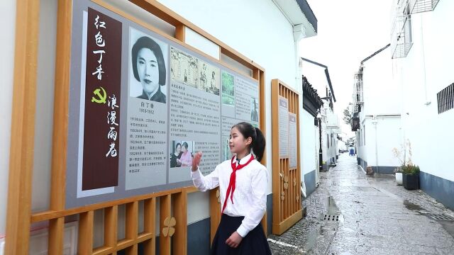 【平江实验】永不凋零的丁香花宣讲