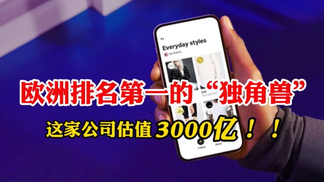 欧洲排第一的独角兽:用户接近1个亿,这家公司估值飙到3000亿元