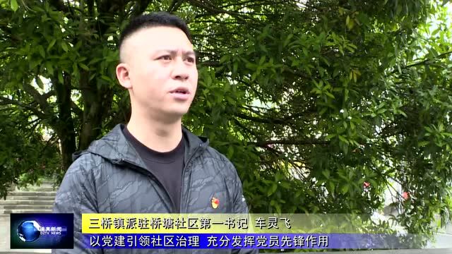 【党旗在基层一线高高飘扬】三桥镇:积极开展“八个一”活动 全面践行“一线党建工作法”