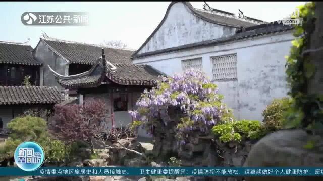 春日融融 花之盛宴惹人醉 五颜六色花朵齐聚一堂