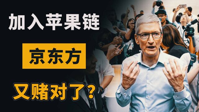 喊着支持国产,却硬着头皮也要加入苹果链?京东方的利润说明一切