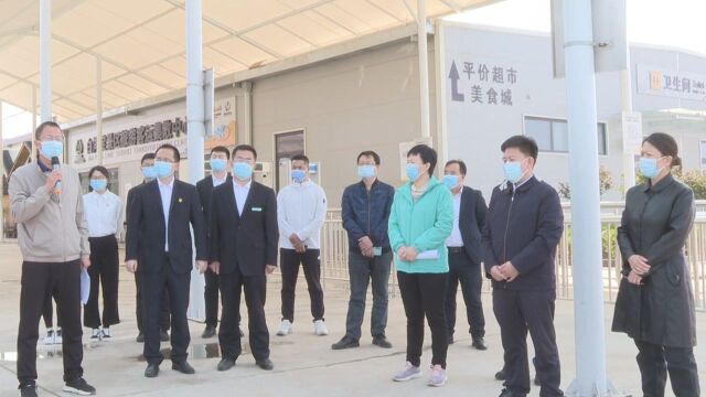 李国向就白洋淀景区开业暨美丽乡村建设现场办公