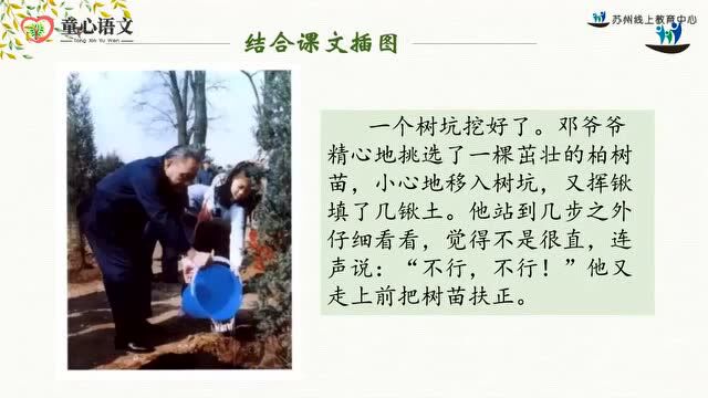 部编版语文二年级(下) 期中复习视频+课件丨可下载