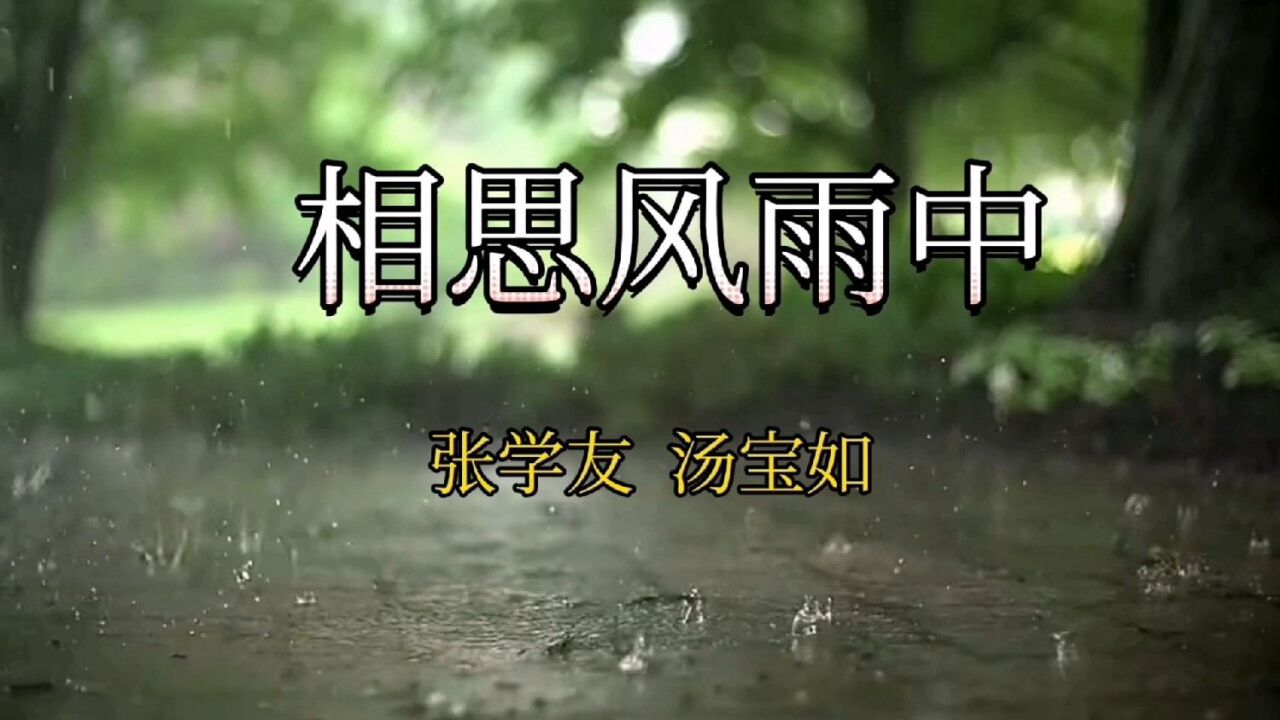 张学友汤宝如典粤语对唱歌曲《相思风雨中》