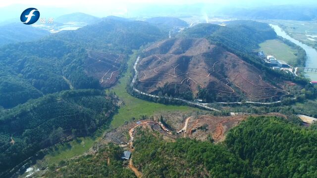 《福建新视野》走进南平市建阳区林业改革工作纪实