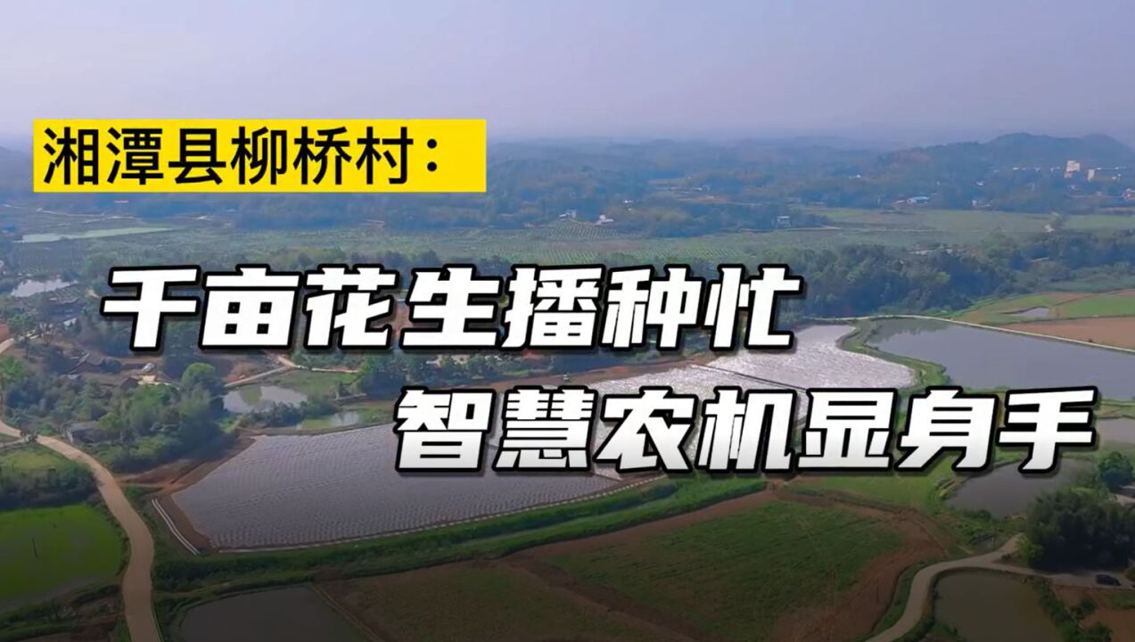 视频丨湘潭县柳桥村:千亩花生播种忙 智慧农机显身手