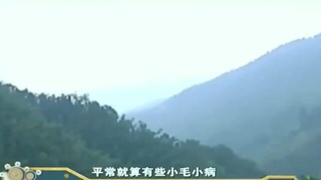 “石燕”能治病救人 却说不清原理 专家解开秘密瞠目结舌