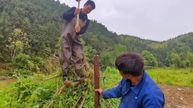 大型户外抓鱼,3兄弟用上了100平方的抬网,这效果会怎么样?