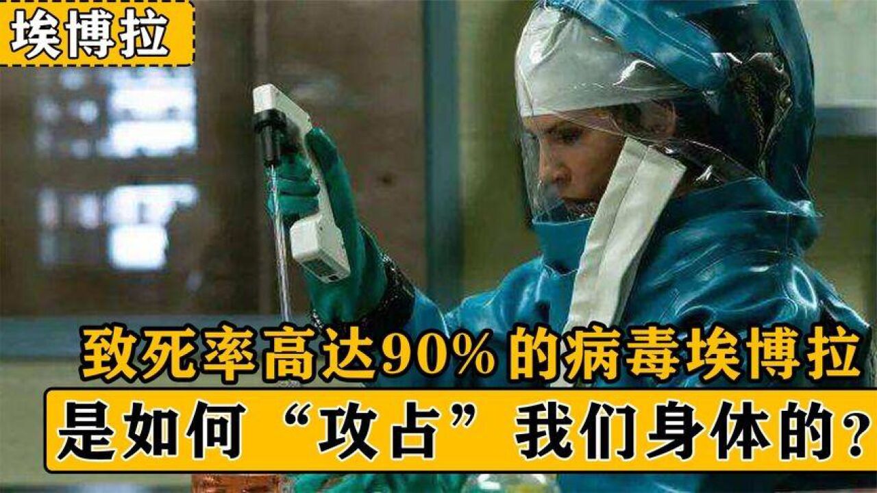 致死率90%的埃博拉,号称"内脏绞肉机,如何攻占我们的身体?