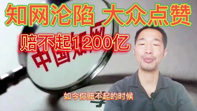 知网沦陷了,都赔需1200亿